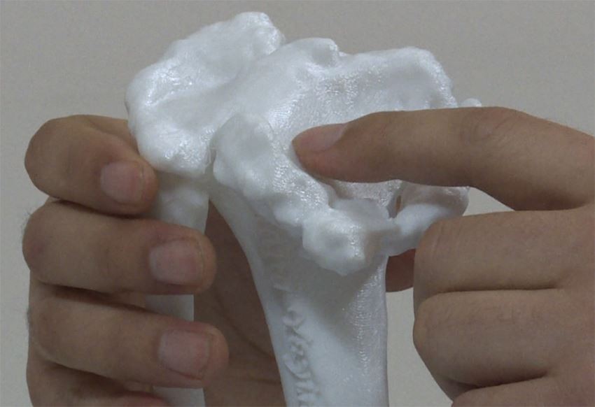 laser-printing-bones（2）